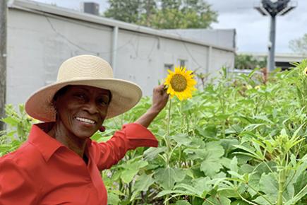 The Isaiah Project maintains a community garden in south St. Petersburg.